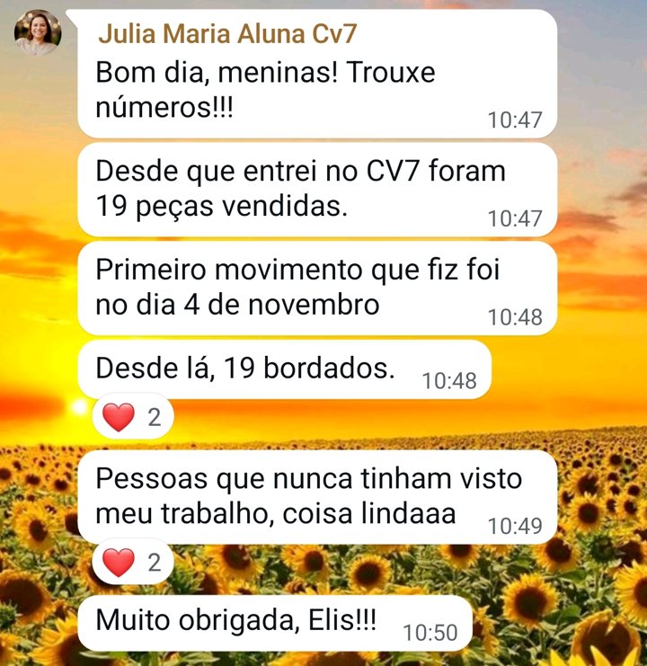 Mensagem da Julia: 19 bordados vendidos desde 4 de novembro